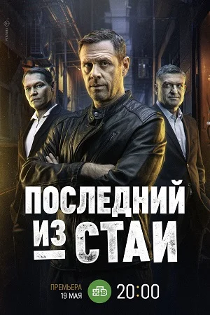 Последний из стаи